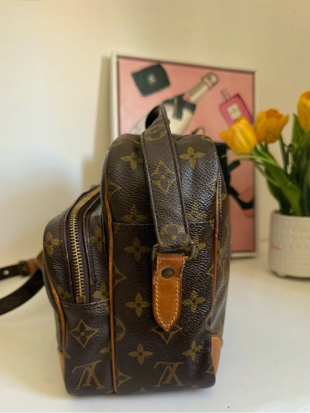 Louis Vuitton Nile Monogram Canvas Messenger Bag - Picture 5 of 14